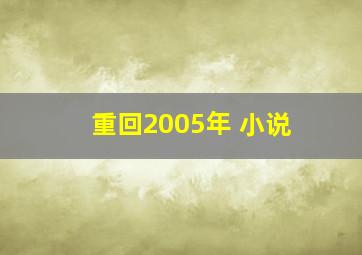 重回2005年 小说